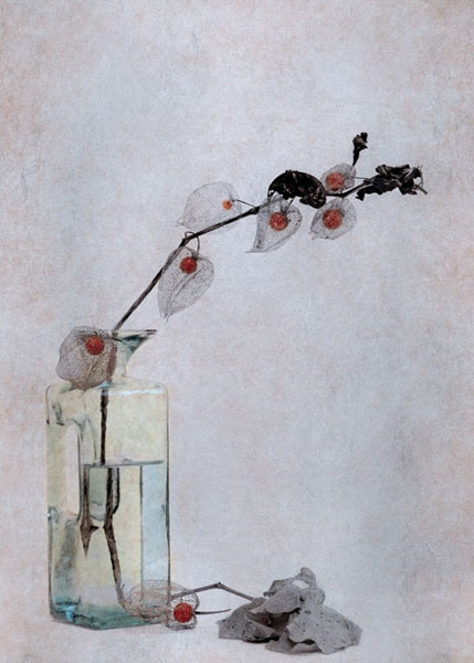 Photograph Michel Bochet Merand Amours Japonaises on One Eyeland